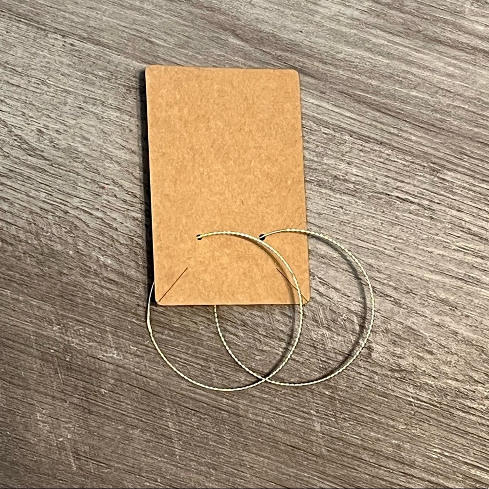 Silver Twisted Hoops